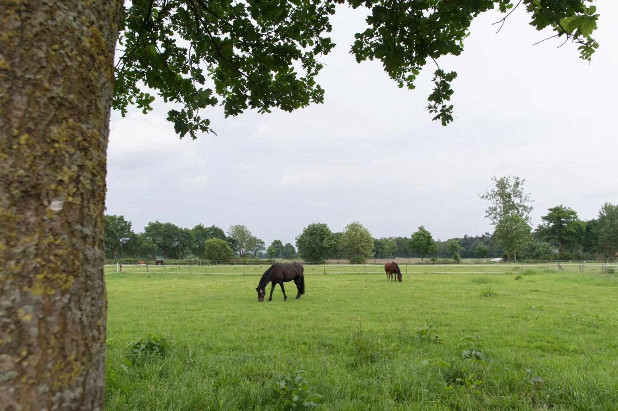 Landhuus Laurenz Gronau  Luaran gambar