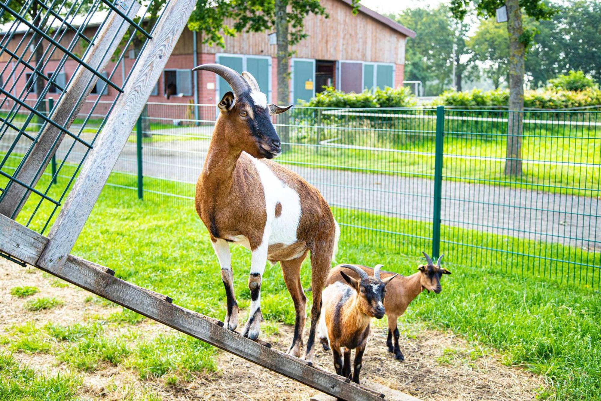Landhuus Laurenz Gronau  Luaran gambar